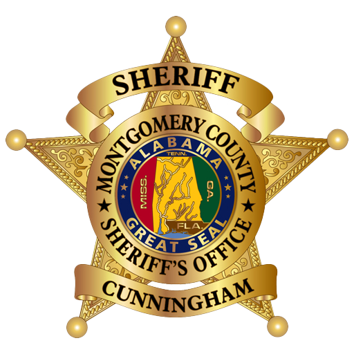 MCSO badge high resolution